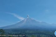 Aktivitas Gunung Semeru masih didominasi erupsi dan gempa letusan