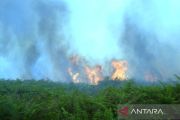 BPBD: 29,1 hektare lahan terbakar di Aceh Barat