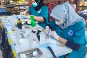 KPKP Kepulauan Seribu vaksinasi rabies 435 kucing hingga Mei 2026