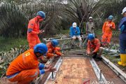 PLN Pasang Tower Emergency dan Kerahkan Ratusan Personel untuk Percepat Pemulihan Sistem Kelistrikan Sumatera Utara