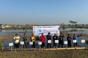 PLTU Batang siapkan 30 ribu bibit mangrove untuk pengembangan kawasan hijau