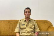 ESDM siapkan skema jarungan mandiri untuk PLTS di wilayah kepulauan Sultra