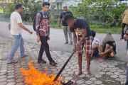Polresta Jayapura musnahkan tiga kilo gram ganja milik lima tersangka