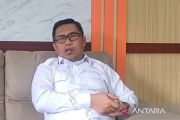 BKSDA Jambi pasang kalung pelacak gajah di Bukit Tigapuluh