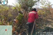 Manggala Agni berhasil padamkan karhutla 108 hektare di Bengkalis Riau