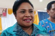 TP PKK Jayawijaya implementasi 10 Program Pokok di 328 kampung