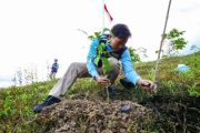 OIKN dan Kemenhut rehabilitasi lahan eks-tambang jadi hutan produktif