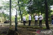 Pemkab: Penebangan kayu Hutan Kota Pasaman Barat bagian program revitalisasi