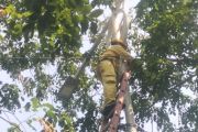 Perbaikan lampu PJU di Jaksel ditargetkan rampung pekan ini