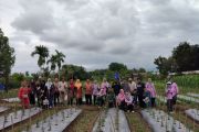 Petani Banyuasin adopsi teknologi Proliga dan pemasaran digital