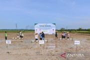Kabupaten Tanjab Barat tanam perdana padi dengan sistem PM-AAS