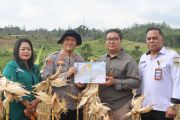 Pemkab salurkan bantuan sarprodi ke poktan binaan Polres Gumas