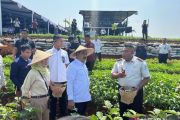 Komisi XIII sebut program ketahanan pangan Imipas jadi terobosan