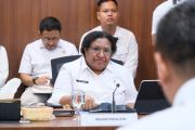 Govt supports accelerated national food, energy hub in South Papua