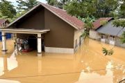 Kendari terima alsintan dan benih dari Mentan RI untuk pulihkan sawah terdampak banjir