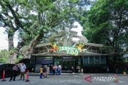 Pengelola baru Bandung Zoo wajib bayar Rp4,3 miliar per tahun
