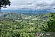 Hutan Adat Lekuk Limapuluh Tumbi: Penjaga mata air yang mengharumkan Kerinci