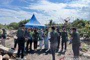 PLN UP3 Palu dan masyarakat tanam 1.000 mangrove di pesisir Teluk Palu