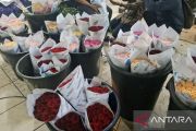 Harga komoditas bunga mawar di Pasar Rawa Belong melonjak tajam