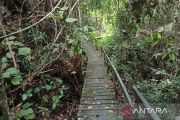 Menjelajah Taman Nasional Kutai,  orangutan hingga Goa Sampemarta