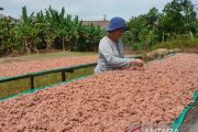 Kualitas terasi Toboali tetap dijaga di tengah krisis bahan baku