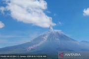 Semeru tujuh kali erupsi dengan tinggi letusan hingga 1.000 meter