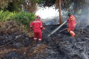 Manggala Agni: Luas karhutla di Riau Januari-Mei capai 15.318 hektare