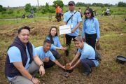 PLN tanam 500 bibit pohon dukung Gerakan ASRI Papua Barat Daya