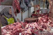 Harga daging sapi di Temanggung merangkak naik
