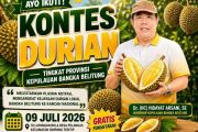 Pemprov Babel gelar kontes durian lokal guna angkat ke tingkat nasional