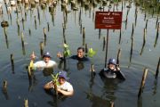 Mangrove untuk perkuat ketahanan pesisir Jakarta, DSLNG wujudkan aksi lingkungan di luar area operasi