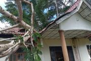 BNPB imbau kesiapsiagaan atas peringatan cuaca ekstrem di 26 provinsi
