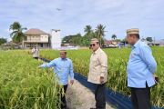 Prabowo targetkan Indonesia jadi lumbung pangan dunia