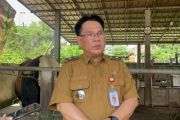 Pemprov Sumsel jaga pasokan cabai merah stabilkan harga