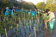 Mahasiswa UNISA Yogyakarta tanam 1.500 mangrove di Pantai Baros