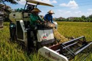 Pemkab Kolaka salurkan alsintan ke petani guna tingkatkan produksi pertanian