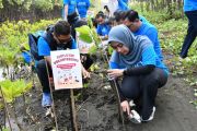 BPJS Ketenagakerjaan Jateng &amp; DIY tanam mangrove di Pantai Tirang