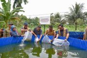 Lebih dekat dengan Hulu Migas: dari kesiapsiagaan tanggap darurat hingga budidaya ikan