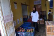 Petani Banyuwangi olah buah naga afkir jadi produk bernilai tambah