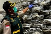 Karantina Kepri kawal pengiriman produk perikanan Rp4,45 M dari Natuna