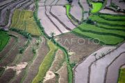 Pemkab-Buol tingkatkan produksi pertanian lewat cetak sawah baru