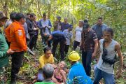 Tim SAR berhasil temukan nenek hilang di hutan Lingga