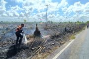 BPBD Kotim curigai lahan sengaja dibakar untuk pembangunan perumahan
