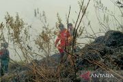 Kemenhut dan tim gabungan padamkan kebakaran hutan Sembalun