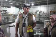 Bulog perintahkan tarik semua produk Minyakita diduga berbau solar