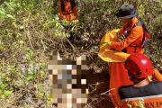 Tim SAR berhasil temukan lansia yang hilang di Hutan Gunungkidul