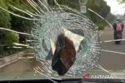 Polisi selidiki kasus mobil Putri Indonesia Pariwisata dilempar batu