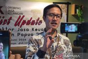 OJK sebut pembiayaan di Papua Barat-Papua Barat Daya Rp1,2 triliun