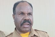 Pemprov Papua Pegunungan buka lahan pertanian 24 hektare selama 2026