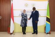 BPK kerja sama dengan NAO Tanzania di bidang pemeriksaan publik